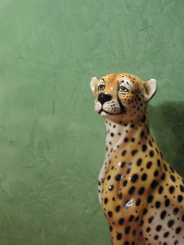 Gepard